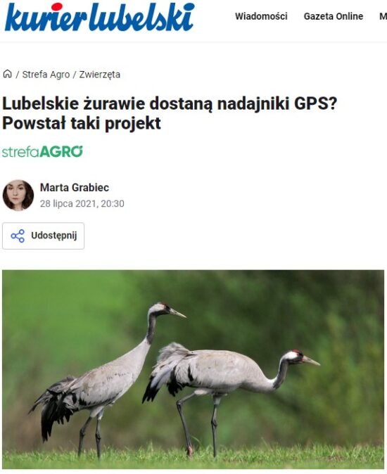 media o projekcie