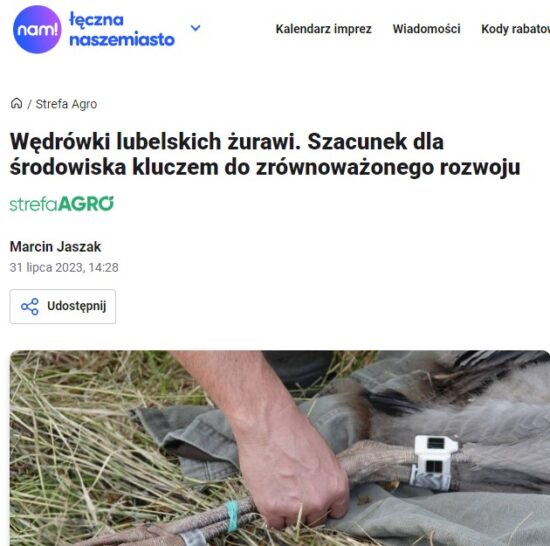 media o projekcie